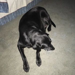 Meet your Posher, Kim